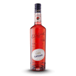 Giffard Watermelon Liqueur - Classic